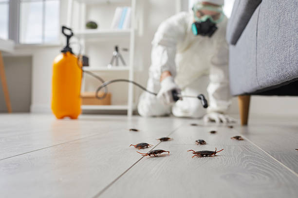 Trusted Cockroach Control service in White Hall, AR - Nex Pest Control